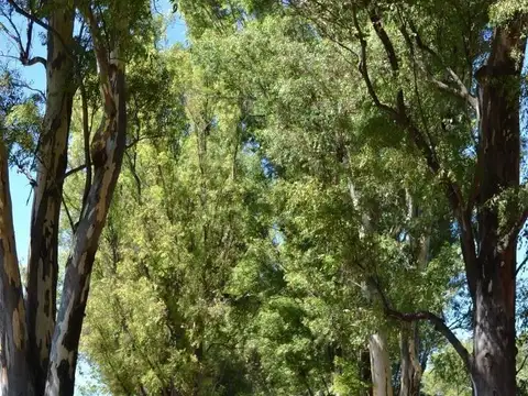 Terreno en Venta de 830,0 m2