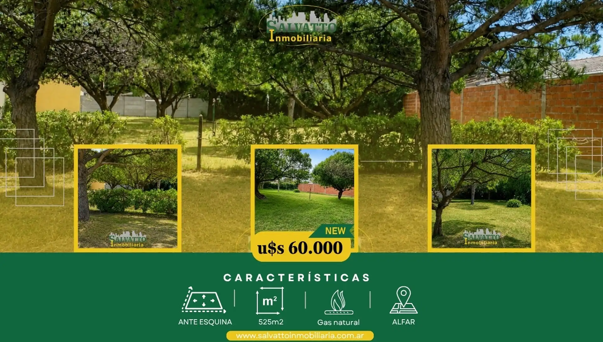 Lote de 525 m² en el corazón de Alfar