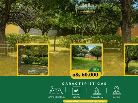 Lote de 525 m² en el corazón de Alfar