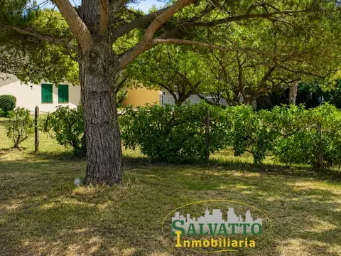Terreno en Venta 15  mts Frente