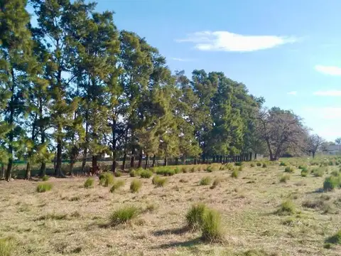 Terreno EN EXCELENTE UBICACION DE PUEBLO ESTHER