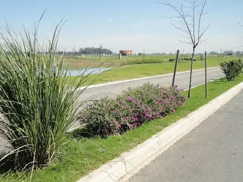 Ruta 16 1500, Horizontes Al Sur