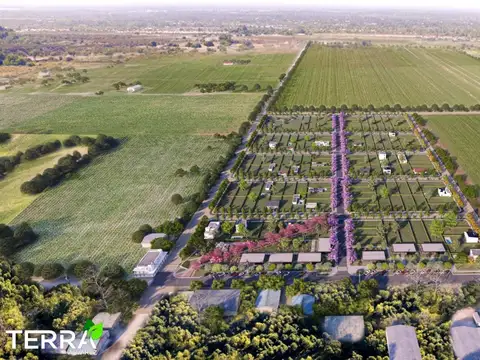 TERRA, Loteo en localidad de Alvarez, desde 312 m2.