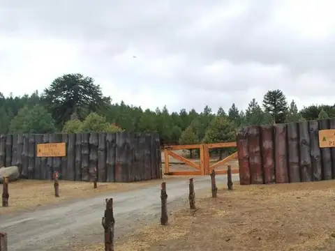Terreno en venta Altos de Pehuenia