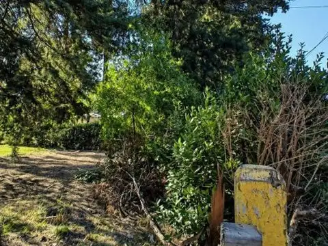 Terreno en Venta 92  mts Fondo