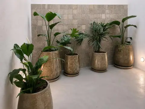 Depto Tipo Casa en Venta en Saavedra, USD 230.000