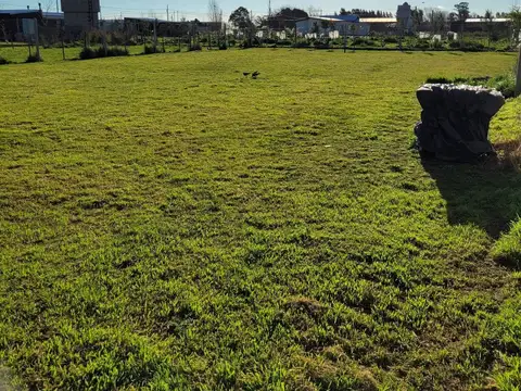 Camino al Polo Rincón de Gomez