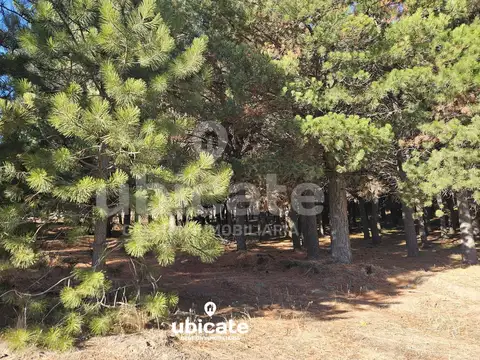 Terreno en Venta en Dina Huapi, USD 292.000
