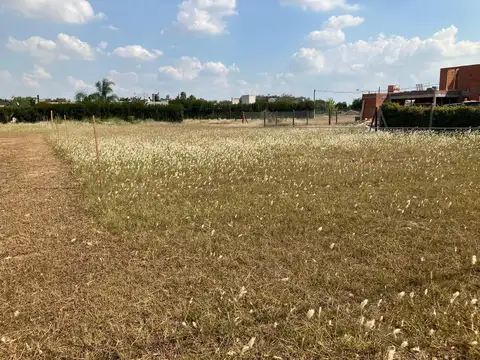 Terreno en Venta 20  mts Frente