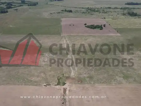 Campo en Venta Ganadero