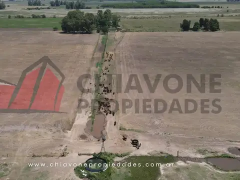 Campo en Venta, 118 ha c/mejoras. Plomer, Gral Las Heras