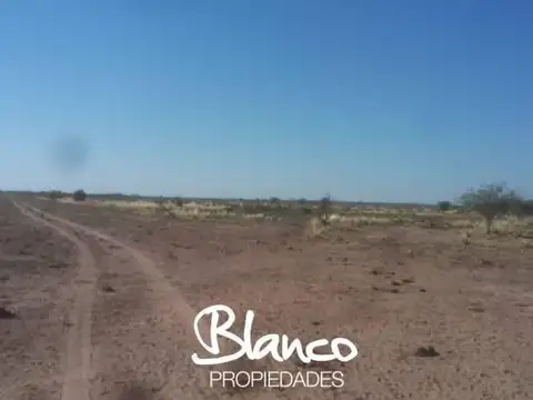 VARELA - SAN LUIS 100