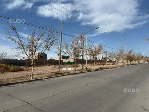 Terreno 9 de Julio y Alsina - Maipú