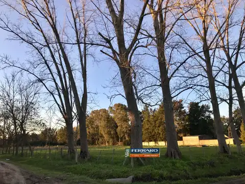 Fraccion 10000 mts en Venta