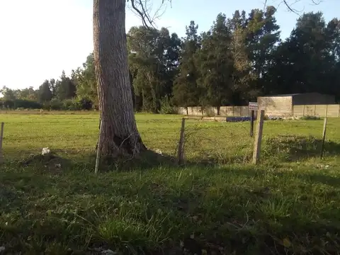 Viamonte nº 2800 Esq. Roma