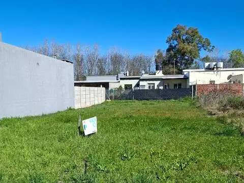 58bis