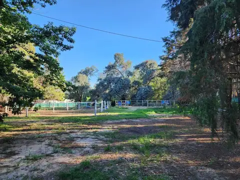 Terreno en Venta de 12360,0 m2