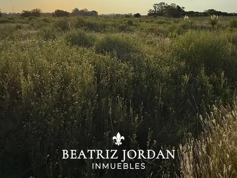 Terreno en Venta de 2000,0 m2