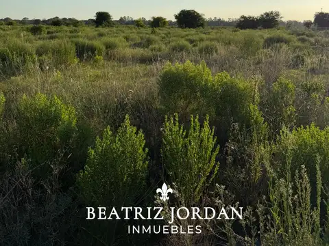 Terreno en Venta en Los Cardales, USD 38.000