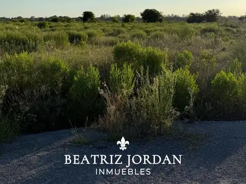 Terreno en Venta de 2000,0 m2