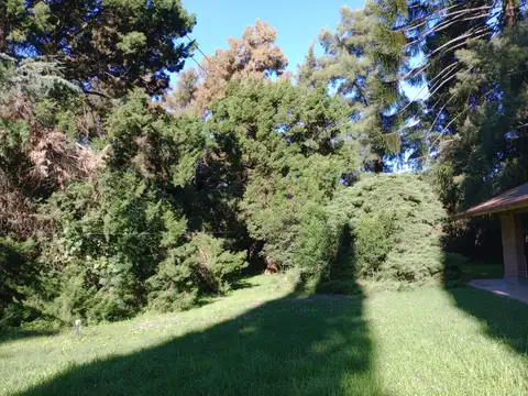 Quinta en Venta 30 años