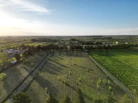 VENTA LOTE EN ARANA - LOS PINARES