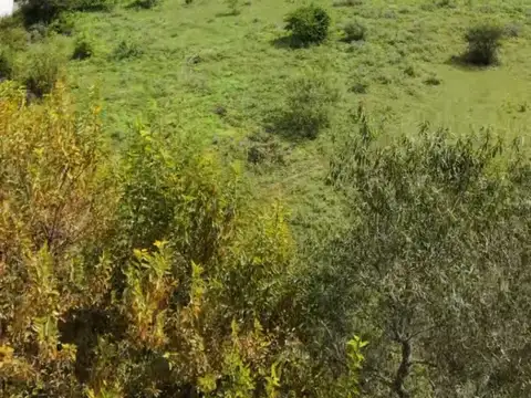 Terreno en Venta de 4200,0 m2