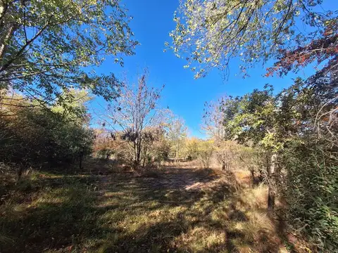 Avenida los Porteños 100