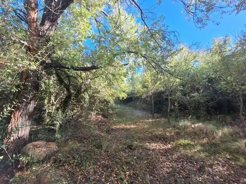 VENTA DE TERRENO EN NONO CON COSTA DE RIO