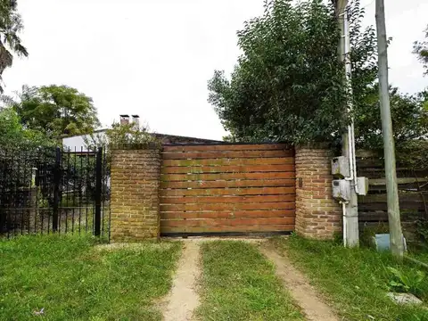 Hector Rodriguez 100