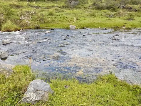 VENTA DE CAMPO  17 HECTAREAS EN POTRERO DE GARAY