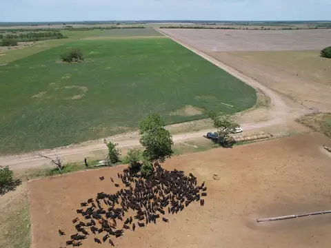 Campo en Venta con Alambrado