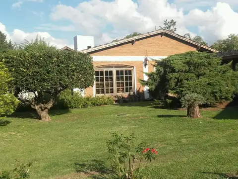 Maria Luisa Ross al 800