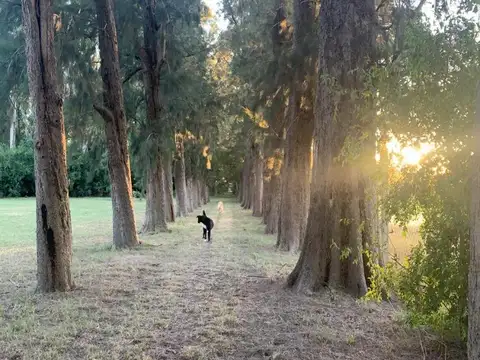 LOTE APTO DESARROLLO, ABASTO, LA PLATA 