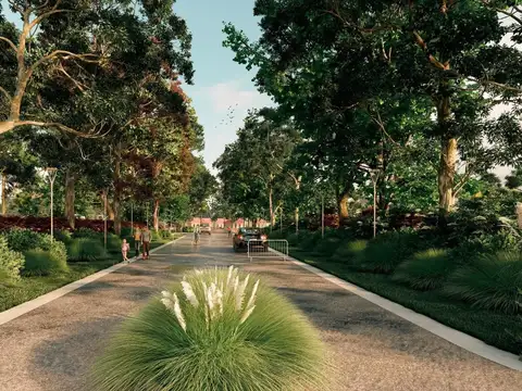 Terreno en Venta 35  mts Fondo