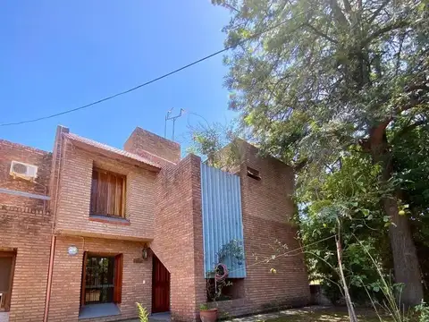 Domingo Zipoli al 1200