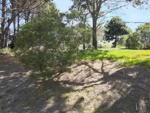 lote de 1689 mts2 en Arenas de Jose Ignacio