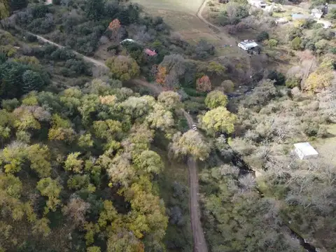 Colanchanga 100