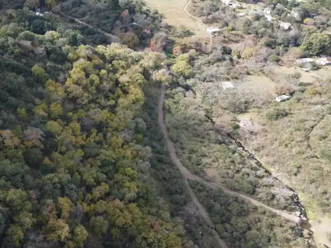Colanchanga 100