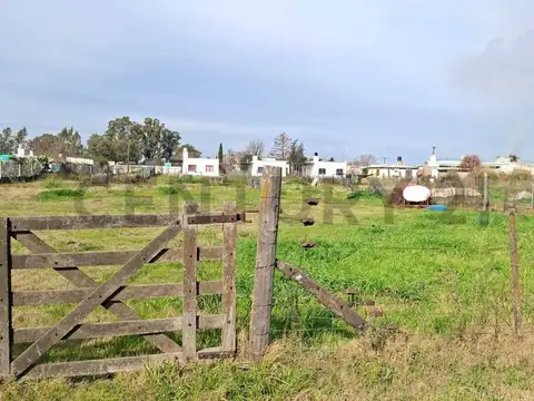 Terreno en Venta 59  mts Fondo