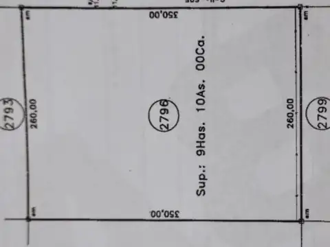 Campo en venta - 92.001Mts2 - Villa Elvira