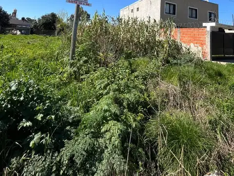 153 E ( 519 Y 520) 3850