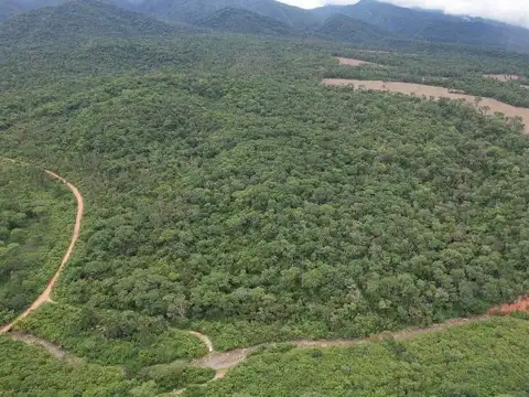 VENTA | DE FINCA EN PALMA SOLA 45 HA