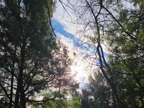 Terreno en Venta de 11900,0 m2