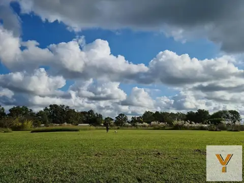 Terreno en venta - 11.900Mts2 - Abasto, La Plata