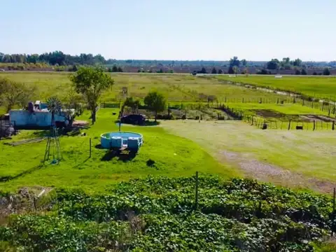 CAMPO EN VENTA, (aproximadamente 27,30 hectareas) PIÑERO