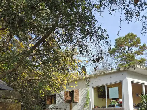 VENTA CAMPO 9.8 HECTAREAS SALSIPUEDES CÓRDOBA
