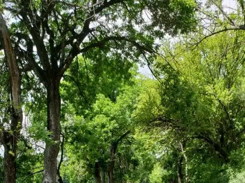 Terreno en Venta de 2050,0 m2