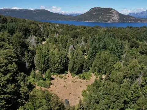 Pje Huemul S/ Ruta 40