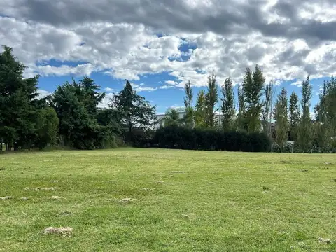 SAN MARCO VILLANUEVA 100